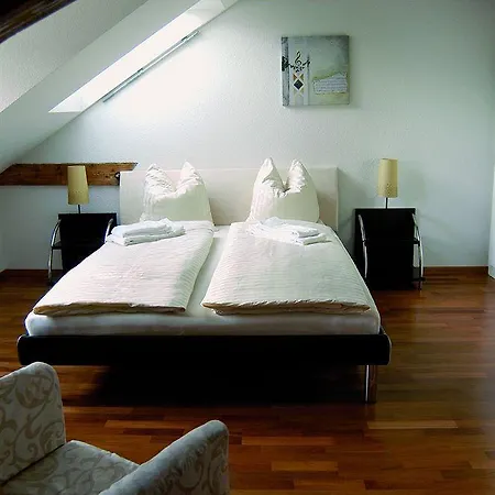 Swiss Star Anwand - Contactless Self Check-in Apartman *
